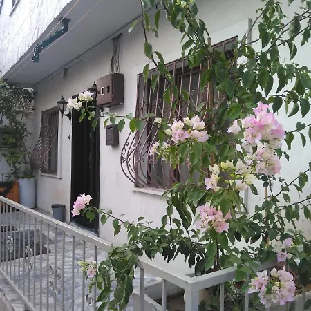 Happy Accomation 192mt Toharbour Vakantiehuis *