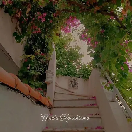 Happy Accomation 192mt Toharbour * Marmaris